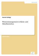 Wissensmanagement in Klein- Und Mittelbetrieben: Messung Des E-Business-Erfolges