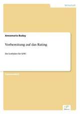 Vorbereitung Auf Das Rating: Messung Des E-Business-Erfolges