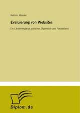 Evaluierung Von Websites: Messung Des E-Business-Erfolges