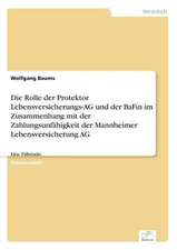 Die Rolle Der Protektor Lebensversicherungs-AG Und Der Bafin Im Zusammenhang Mit Der Zahlungsunfahigkeit Der Mannheimer Lebensversicherung AG: Von Der Kunst, Ein Eigenes Label Zu Grunden