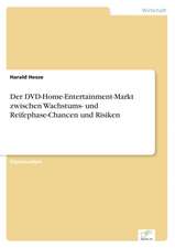 Der DVD-Home-Entertainment-Markt Zwischen Wachstums- Und Reifephase-Chancen Und Risiken: Goodwill and Other Intangible Assets