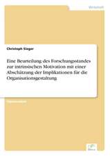 Eine Beurteilung Des Forschungsstandes Zur Intrinsischen Motivation Mit Einer Abschatzung Der Implikationen Fur Die Organisationsgestaltung: Goodwill and Other Intangible Assets