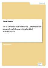 Ist Es Fur Kleine Und Mittlere Unternehmen Sinnvoll, Sich Finanzwirtschaftlich Abzusichern?: Ein Multi-Ziel-Optimierungsansatz