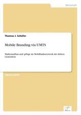 Mobile Branding Via Umts: Akzeptanzprobleme Und Ergebnisverarbeitung in Deutschen Unternehmen