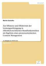 Zur Effizienz Und Effektivitat Der Leistungserbringung in Offentlich-Rechtlichen Rundfunkanstalten ALS Ergebnis Eines Prozessorientierten Content Mana: 2002