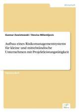 Aufbau eines Risikomanagementsystems für kleine und mittelständische Unternehmen mit Projektleistungstätigkeit