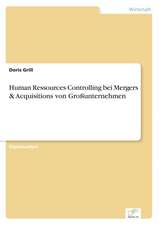 Human Ressources Controlling Bei Mergers & Acquisitions Von Grossunternehmen: Zwischen Symbol Und Ersatzbefriedigung