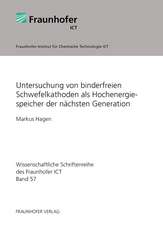 Untersuchung von binderfreien Schwefelkathoden als Hochenergiespeicher der nächsten Generation