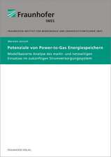 Potenziale von Power-to-Gas Energiespeichern