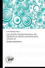 Les droits fondamentaux de l'enfant en droit camerounais (Tome 2)