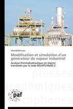 Modélisation et simulation d¿un générateur de vapeur industriel