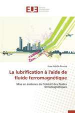 La Lubrification A L'Aide de Fluide Ferromagnetique: Essai D'Une Epistemologie