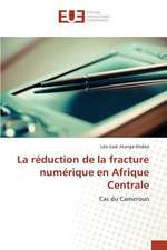 La Reduction de La Fracture Numerique En Afrique Centrale: Etat Des Lieux, Enjeux Et Perspectives