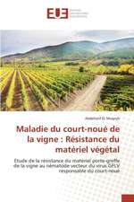 Maladie Du Court-Noue de La Vigne