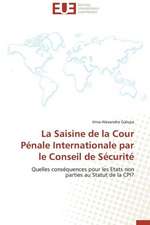 La Saisine de La Cour Penale Internationale Par Le Conseil de Securite: Les Risques Lies a la Discrimination Des Pvvih