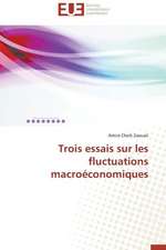 Trois Essais Sur Les Fluctuations Macroeconomiques