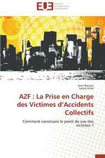 Azf: La Prise En Charge Des Victimes D'Accidents Collectifs