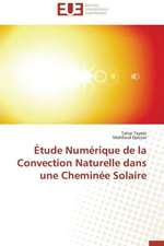 Etude Numerique de La Convection Naturelle Dans Une Cheminee Solaire: La Boucherie Exhumee