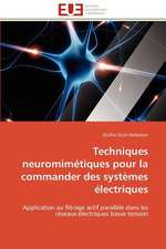 Techniques Neuromimetiques Pour La Commander Des Systemes Electriques