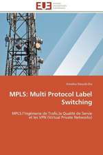 MPLS: Multi Protocol Label Switching