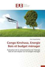 Congo Kinshasa, Energie Bois Et Budget Menager: Micro/Nano Manipulation