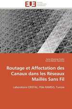 Routage Et Affectation Des Canaux Dans Les Reseaux Mailles Sans Fil: Un Tournant Decisif