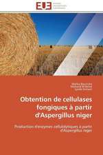 Obtention de Cellulases Fongiques a Partir D'Aspergillus Niger: Discours Sur La Violence