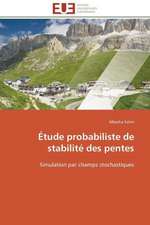 Etude Probabiliste de Stabilite Des Pentes: France Et Russie