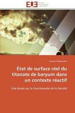 Etat de Surface Reel Du Titanate de Baryum Dans Un Contexte Reactif: Entre Perceptions Et Paysages