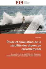 Etude Et Simulation de La Stabilite Des Digues En Enrochements: Pourquoi? Comment?