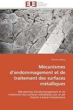 Mecanismes D Endommagement Et de Traitement Des Surfaces Metalliques