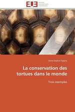 La Conservation Des Tortues Dans Le Monde: Analyse Des Actions Du Cilss Au Burkina Faso