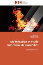 Modelisation Et Etude Numerique Des Incendies: Un Effet Errone?