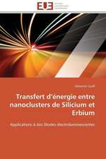 Transfert D Energie Entre Nanoclusters de Silicium Et Erbium: Une Boite Noire?