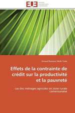 Effets de La Contrainte de Credit Sur La Productivite Et La Pauvrete: Une Boite Noire?