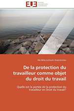 de La Protection Du Travailleur Comme Objet Du Droit Du Travail: Une Analyse Theorique Et Empirique