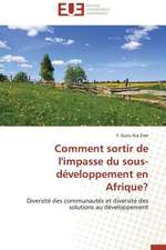 Comment Sortir de L'Impasse Du Sous-Developpement En Afrique?: Un Regard Geometrique