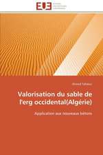 Valorisation Du Sable de L'Erg Occidental(algerie): Theorie Et Application