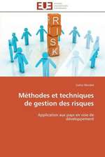 Methodes Et Techniques de Gestion Des Risques: Theorie Et Application