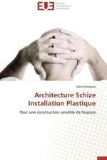 Architecture Schize Installation Plastique: Theorie Et Application