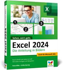 Excel 2024