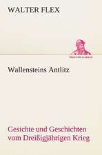 Wallensteins Antlitz