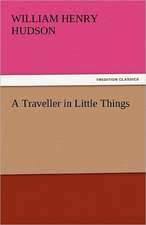 A Traveller in Little Things