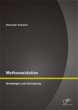 Methanoxidation: Grundlagen Und Umsetzung