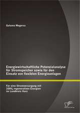 Energiewirtschaftliche Potenzialanalyse Fur Stromspeicher Sowie Fur Den Einsatz Von Flexiblen Energieanlagen: Fur Eine Stromversorgung Mit 100% Regene