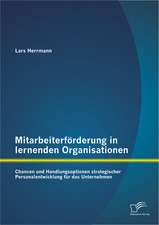 Mitarbeiterforderung in Lernenden Organisationen: Chancen Und Handlungsoptionen Strategischer Personalentwicklung Fur Das Unternehmen