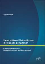 Unterstutzen Plattenfirmen Ihre Bands Genugend? Ein Vergleich Zwischen Kundenorientierung Und Marktangebot: Das Schwartz Und Moon Modell ALS Neuartiger Holistischer Ansatz