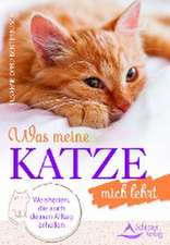 Was meine Katze mich lehrt