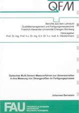 Optisches Multi-Sensor-Messverfahren zur dimensionellen in-line Messung von Strangprofilen im Fertigungsprozess