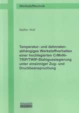 Temperatur- und dehnratenabhängiges Werkstoffverhalten einer hochlegierten CrMnNi-TRIP/TWIP-Stahlgusslegierung unter einsinniger Zug- und Druckbeanspruchung